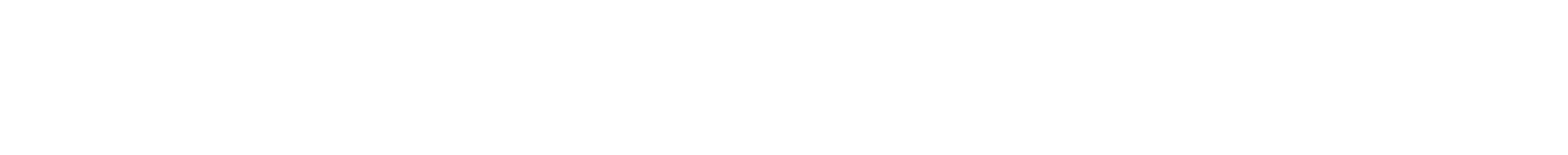 深盾安视 DEEPVIS